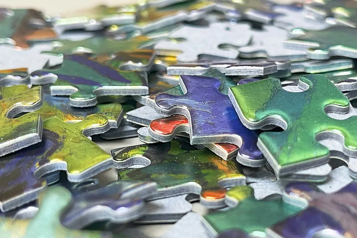Puzzle Piece_6_Cover Puzzle Piece_6_Cover
